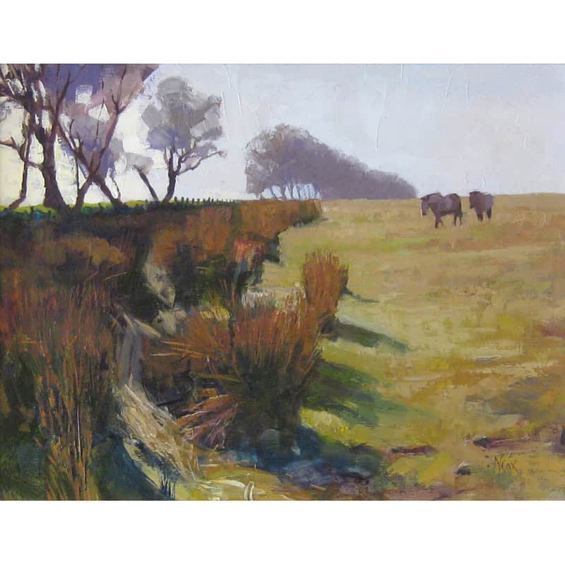 C4494 Exmoor Ponies, Alderman’s Barrow – Neville Cox
