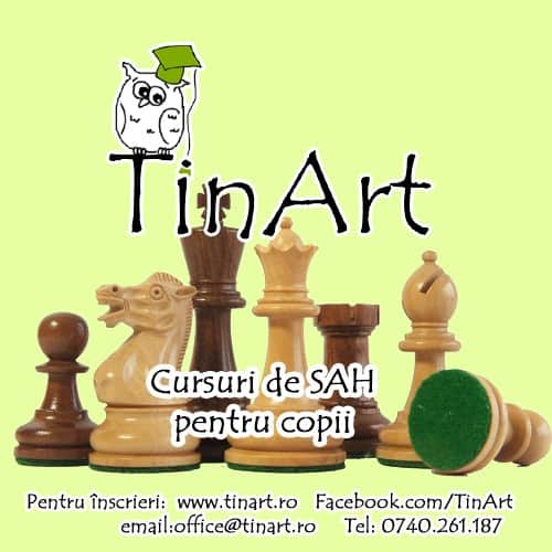 cursuri sah TinArt