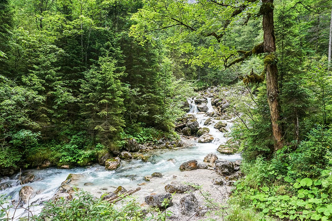 Die Wanderung führt am Hammersbach entlang