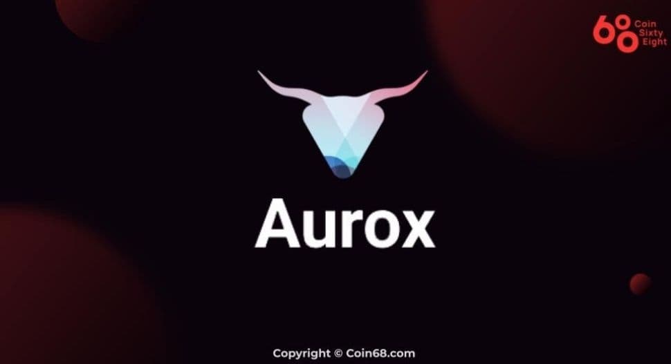 Evaluation of the Aurox project Evaluation of the Aurox project