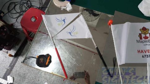 Tour guide flag on telescopic pole