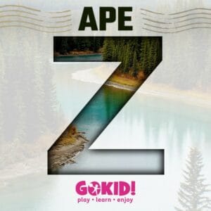 ape cu Z lista TOMAPAN ape cu Z lista TOMAPAN