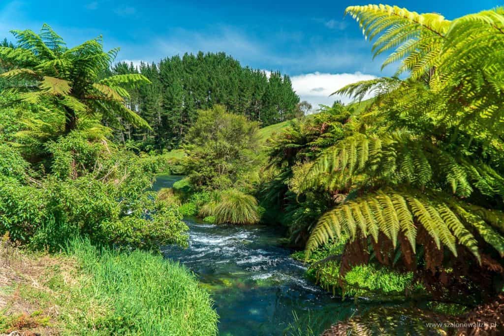 praktyczny prezent dla fotografa w podróży