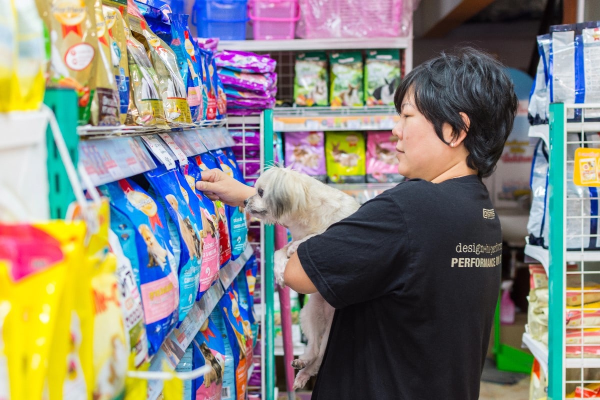 how to start a dog treat business