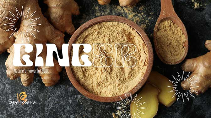 UNCOVERING GINGER HISTORY AND HEALTH: NATURE'S POWERFUL ROOT 4 ginger health