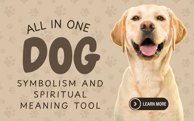 WHEN A STRAY DOG CHOOSES YOU: UNVEILING THE SPIRITUAL SIGNIFICANCE 3 symbolism and spiritual meaning tool