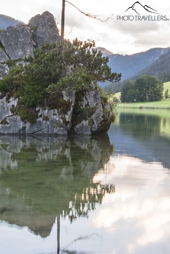 100-Prozent-Ansicht Testfoto Hintersee