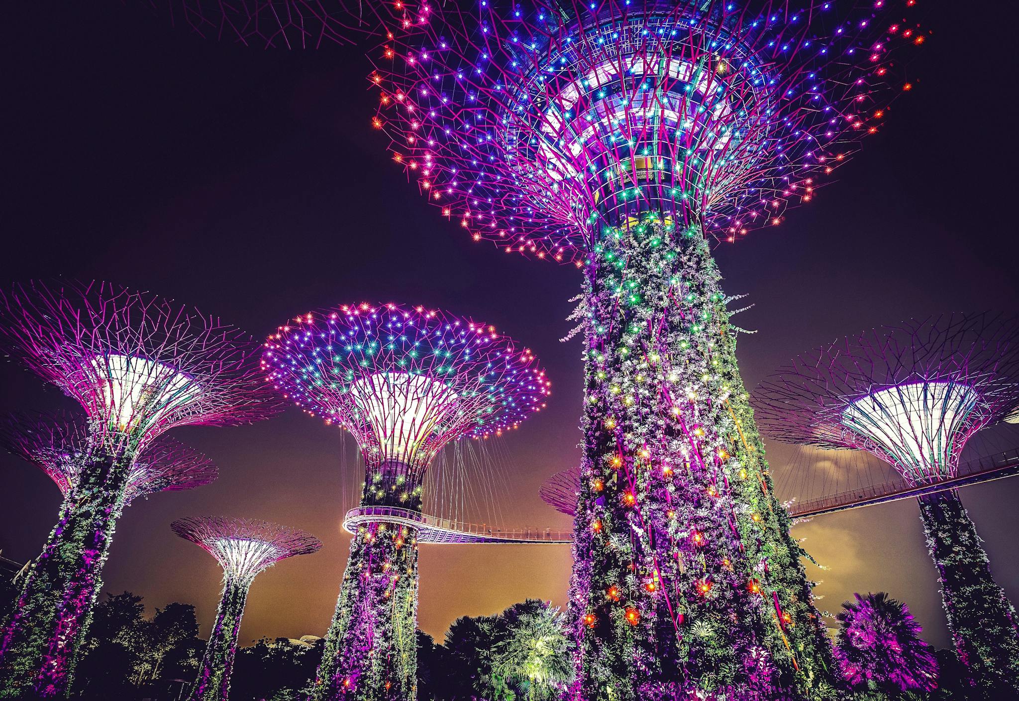Vibrant night view of Supertree Grove illuminated with colorful lights at Singapore's Gardens by the Bay.