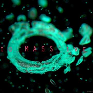 heavy_halo_biomassive