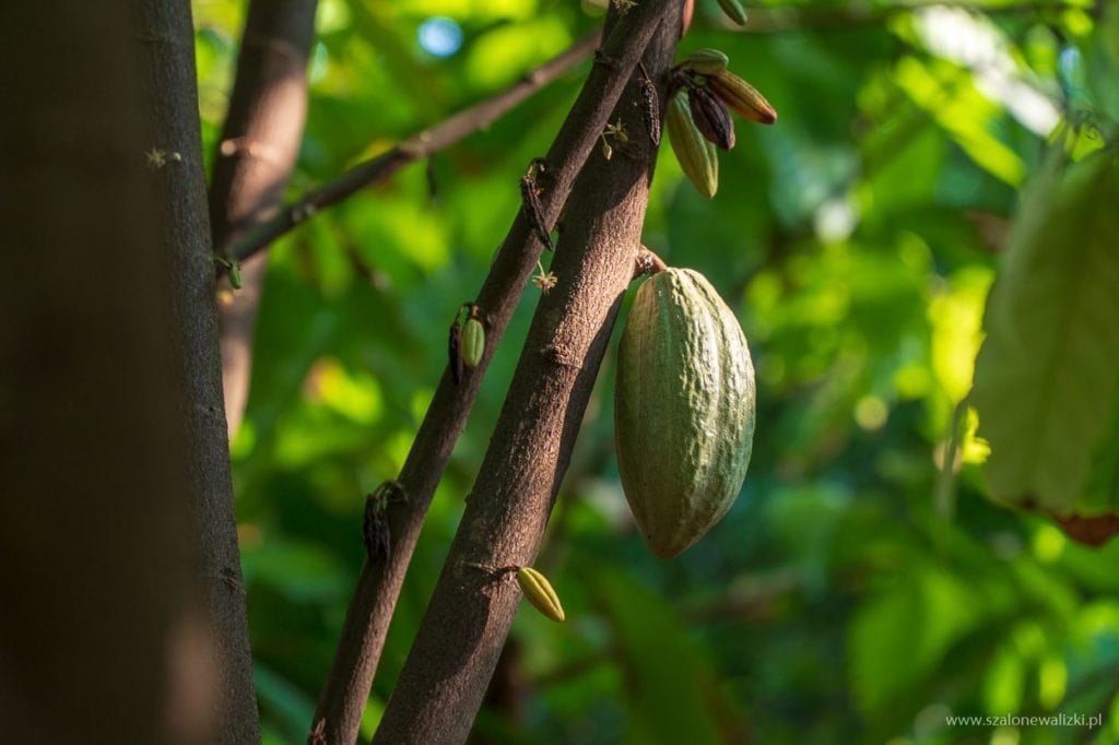 polskie noclegi na sri lance
