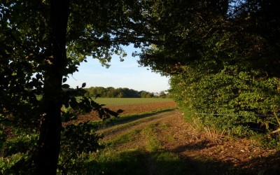 Balade autour de Vivières
