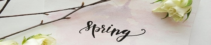 Spring Divider