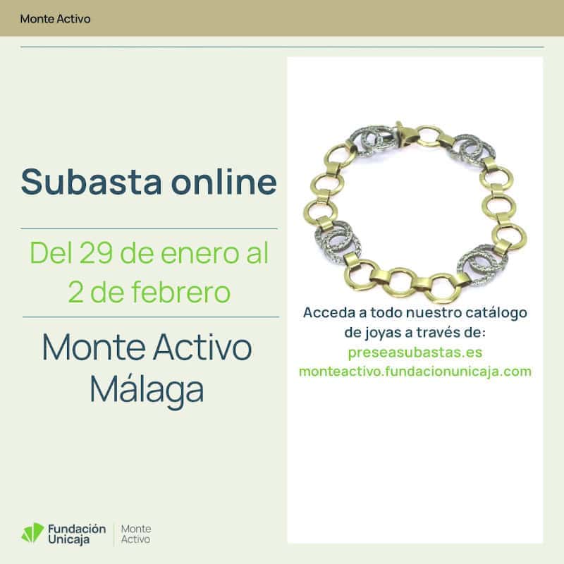 Monte Activo - Subastas enero 2026 - Málaga