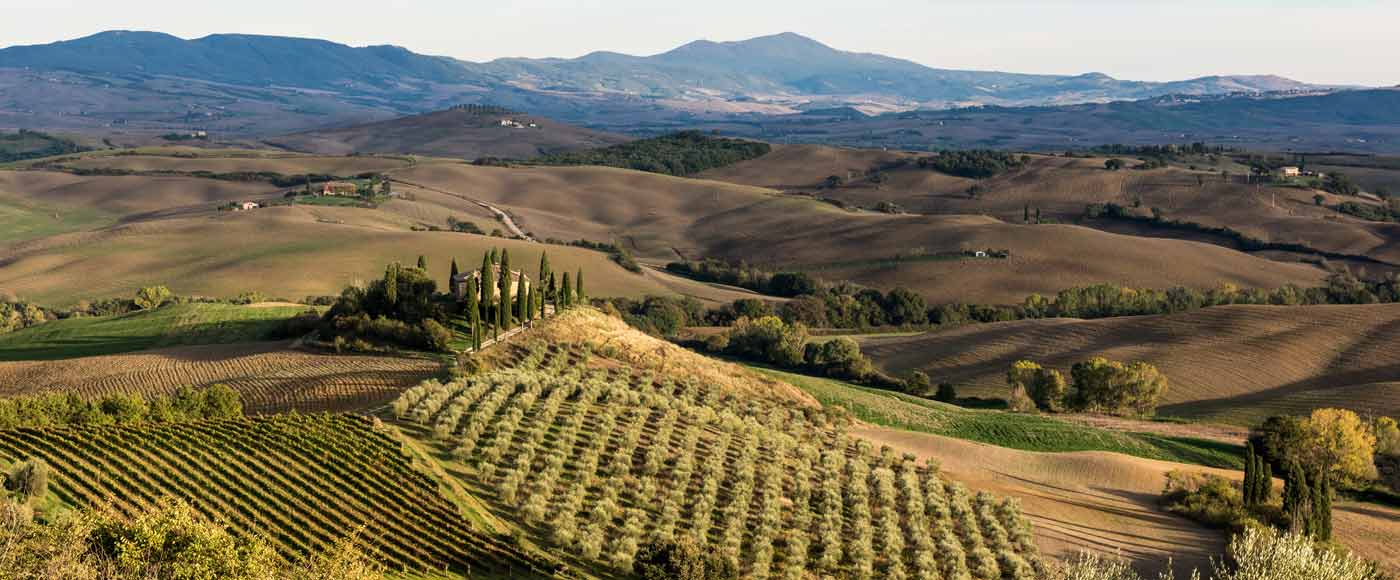 Alle Infos zum Aussichtspunkt Podere Belvedere im Val d’Orcia in der Toskana