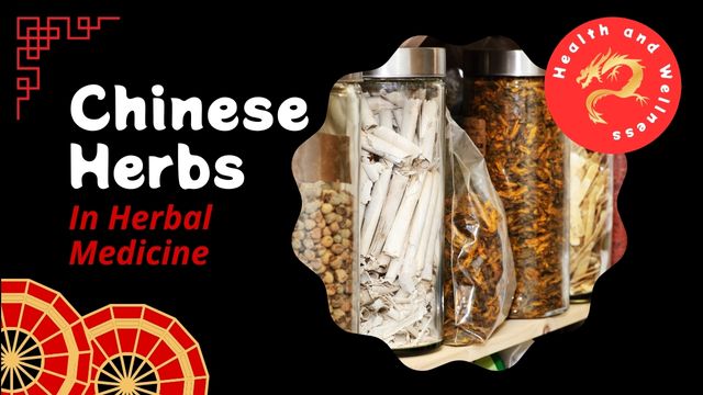 A GUIDE TO CHINESE HERBS IN HERBAL MEDICINE: UNLOCKING HEALTH 3 the philosophy behind tcm herbs