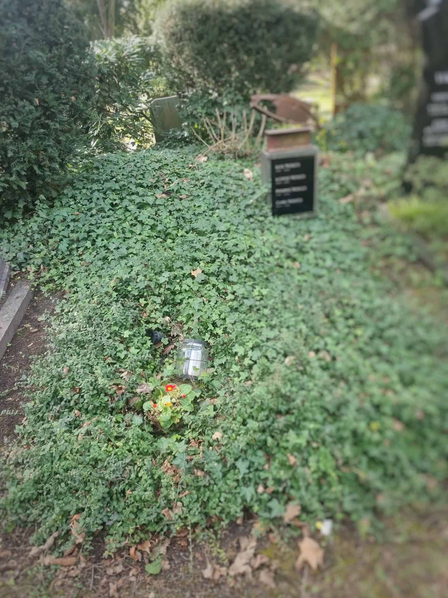 91ad1c5cc32c3e9bf2c1343754512c65