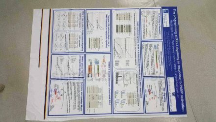 scientific poster printing