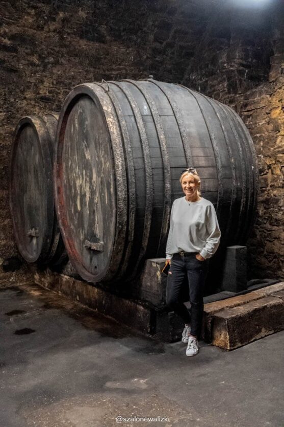 litomierzycki szlak winiarski