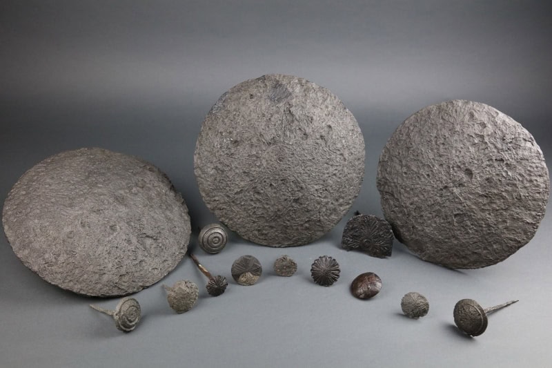 muzeul de istorie al transilvaniei colectia dacica