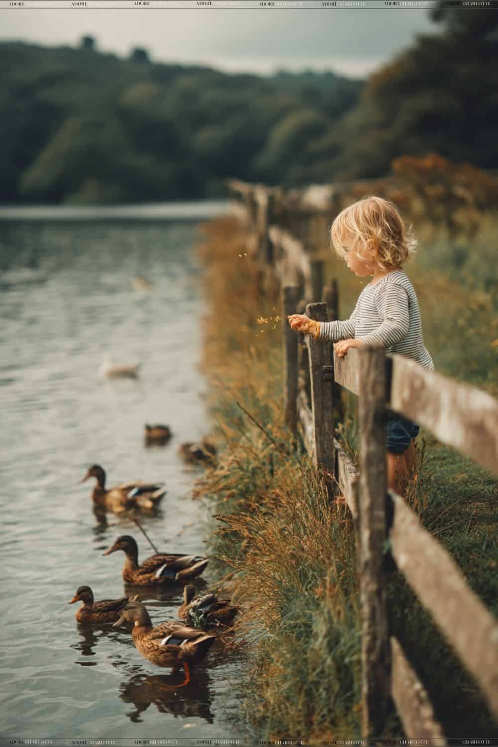 Feeding the ducks at the pond.