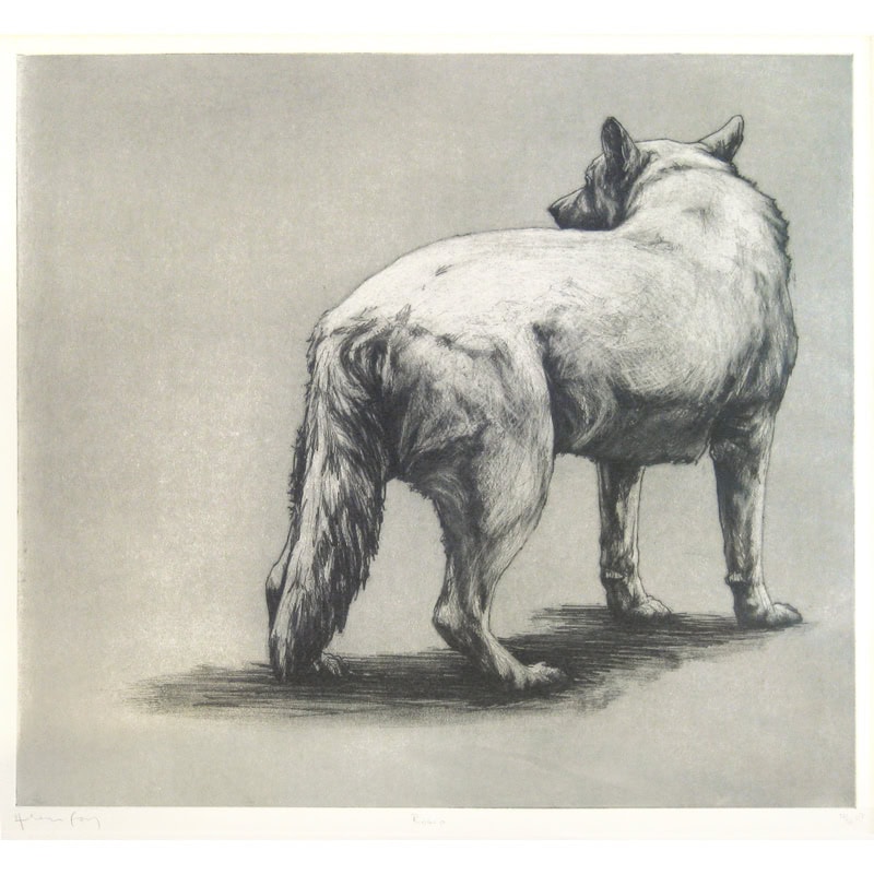 C3497 Rocco – Helen Fay