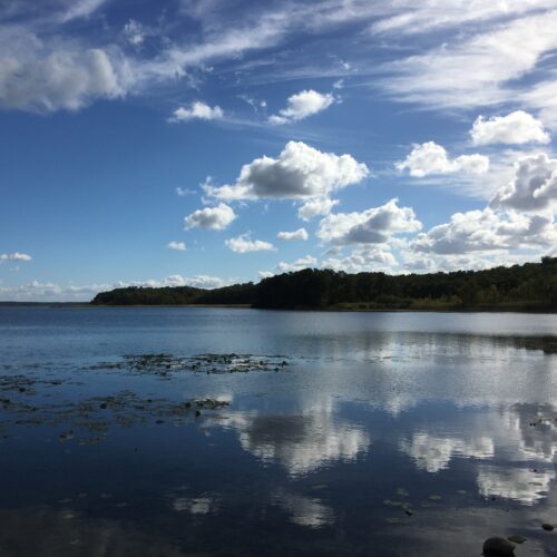 Opportunities and prospects for wetlands