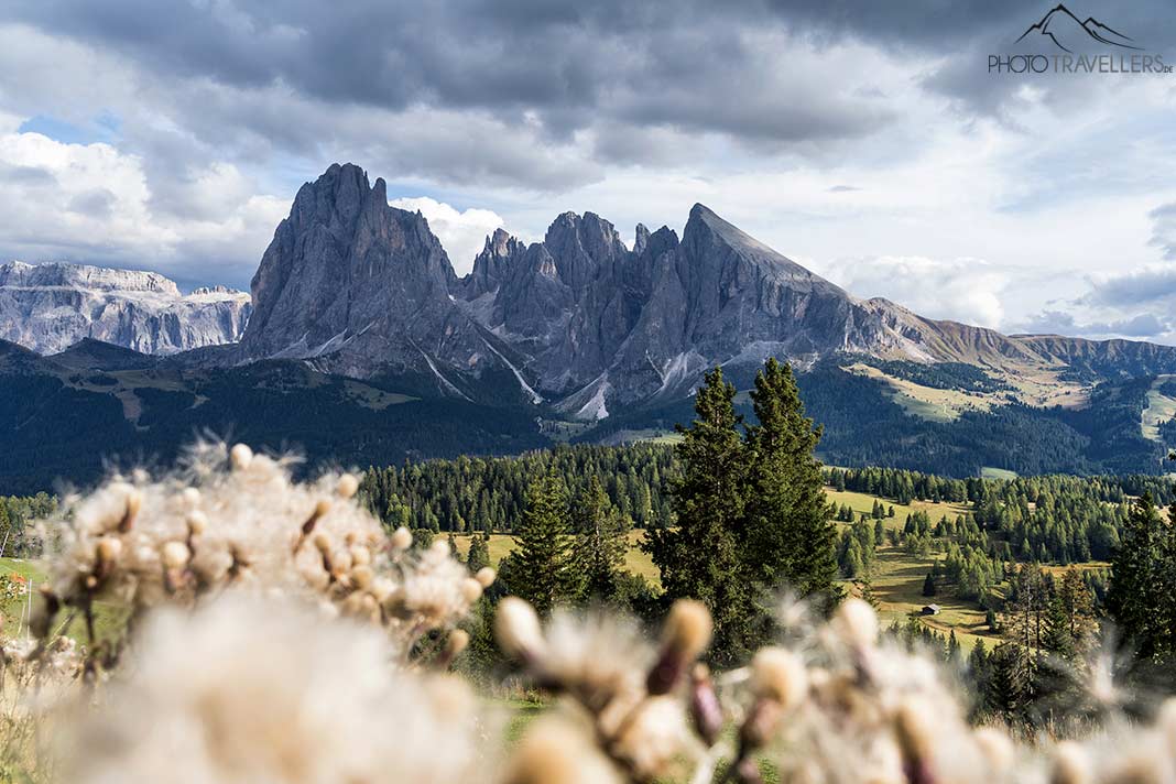 Der Blick über die Seiser Alm mit Platt- und Langkofel