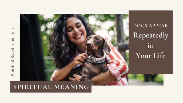 WHY DO DOGS APPEAR REPEATEDLY IN YOUR LIFE? 5 specific dog breeds keep appearing