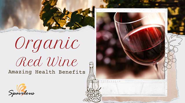 ORGANIC RED WINE: AMAZING BENEFITS OF ORGANIC WINE 21 unique advantages of organic wine