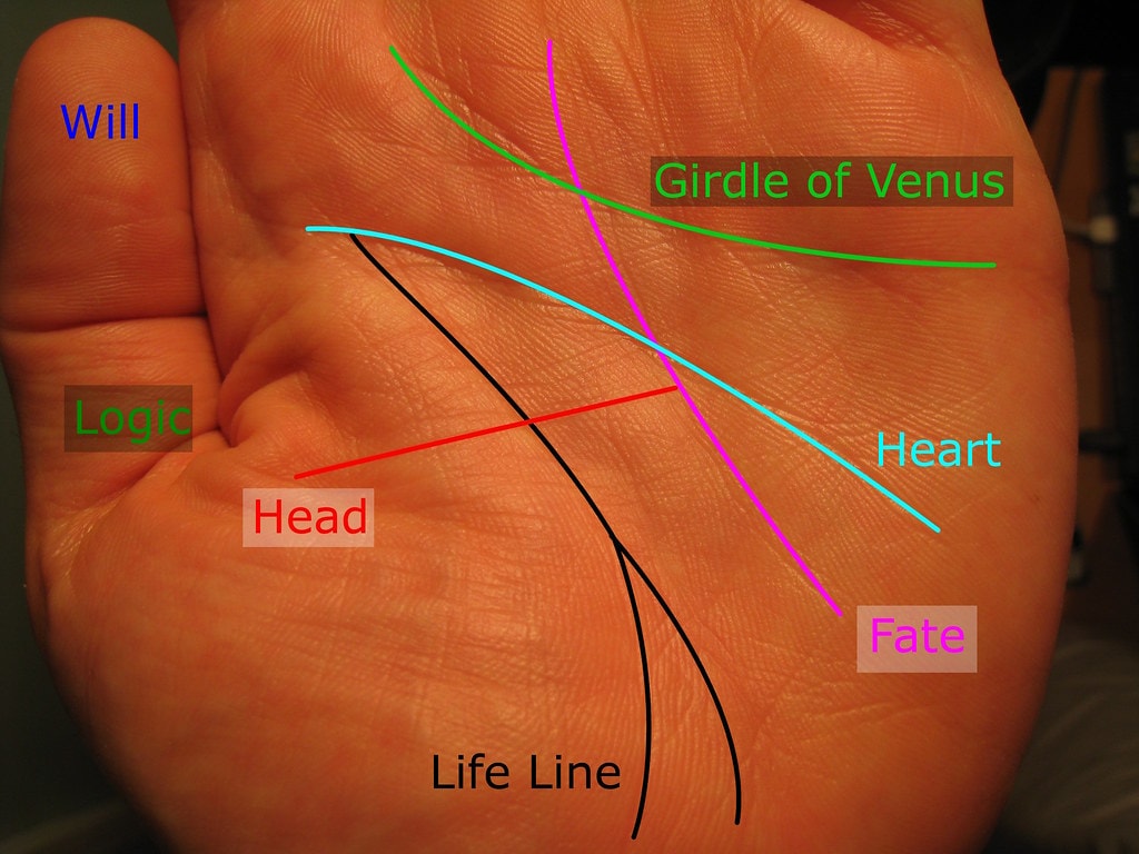 வீனஸ் கைரேகை சாஸ்திரத்தின் கச்சை