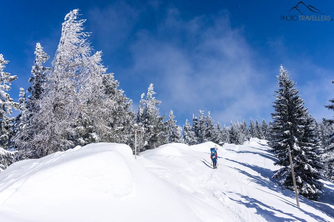 Verschneite Landschaft mit Wanderin