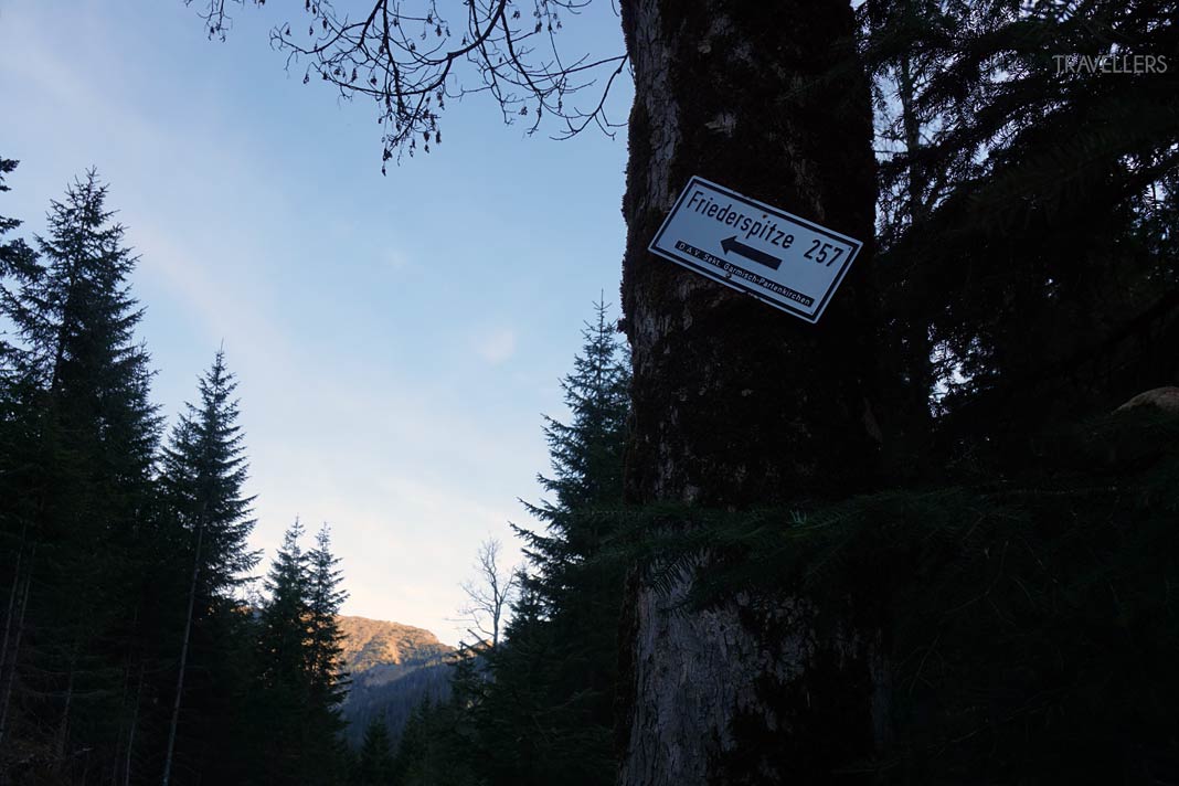 Ein Wegweiser an einem Baum zur Friederspitze
