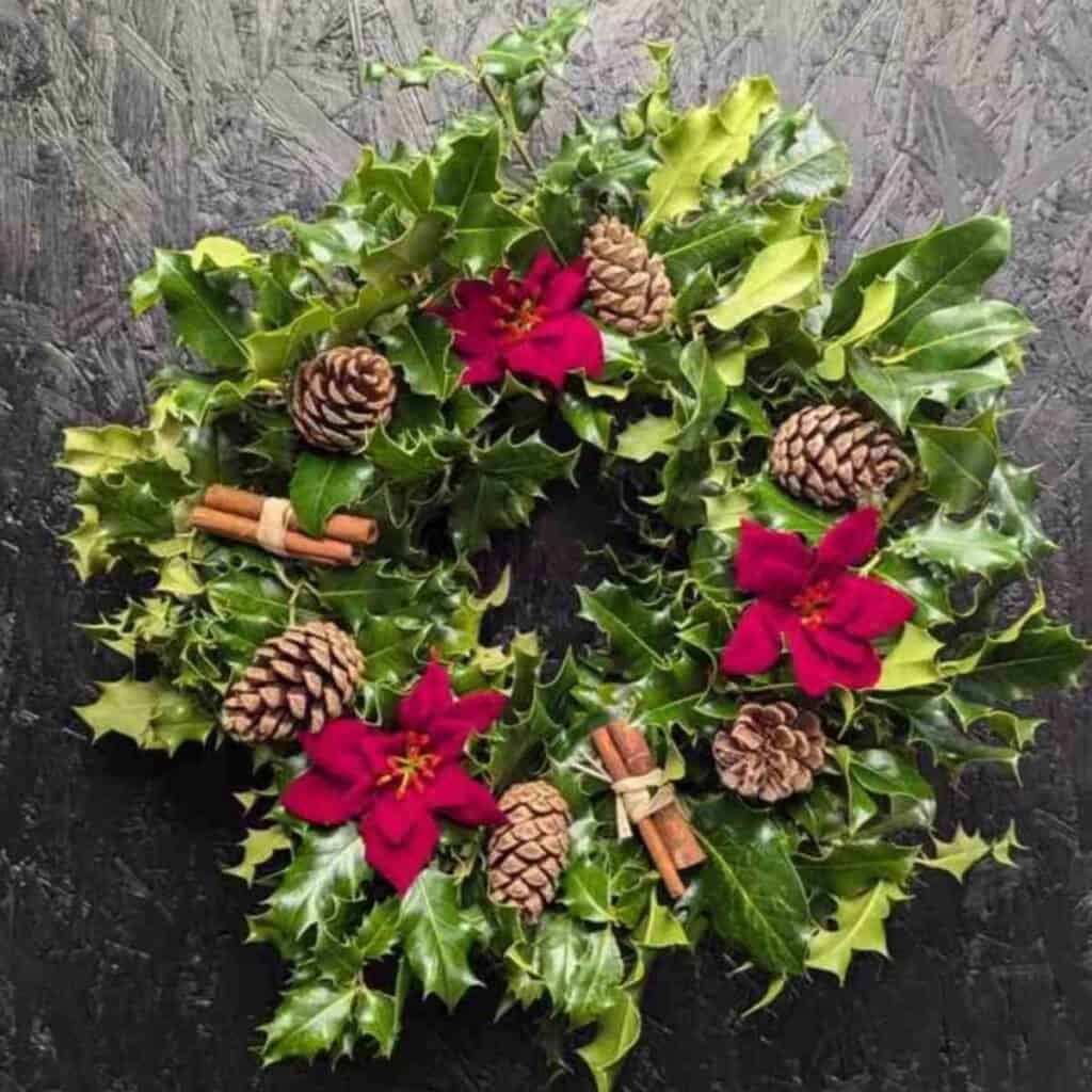 Holly Wreath Traditional fresh Holly Christmas Wreath with pine cone and festive red ribbons