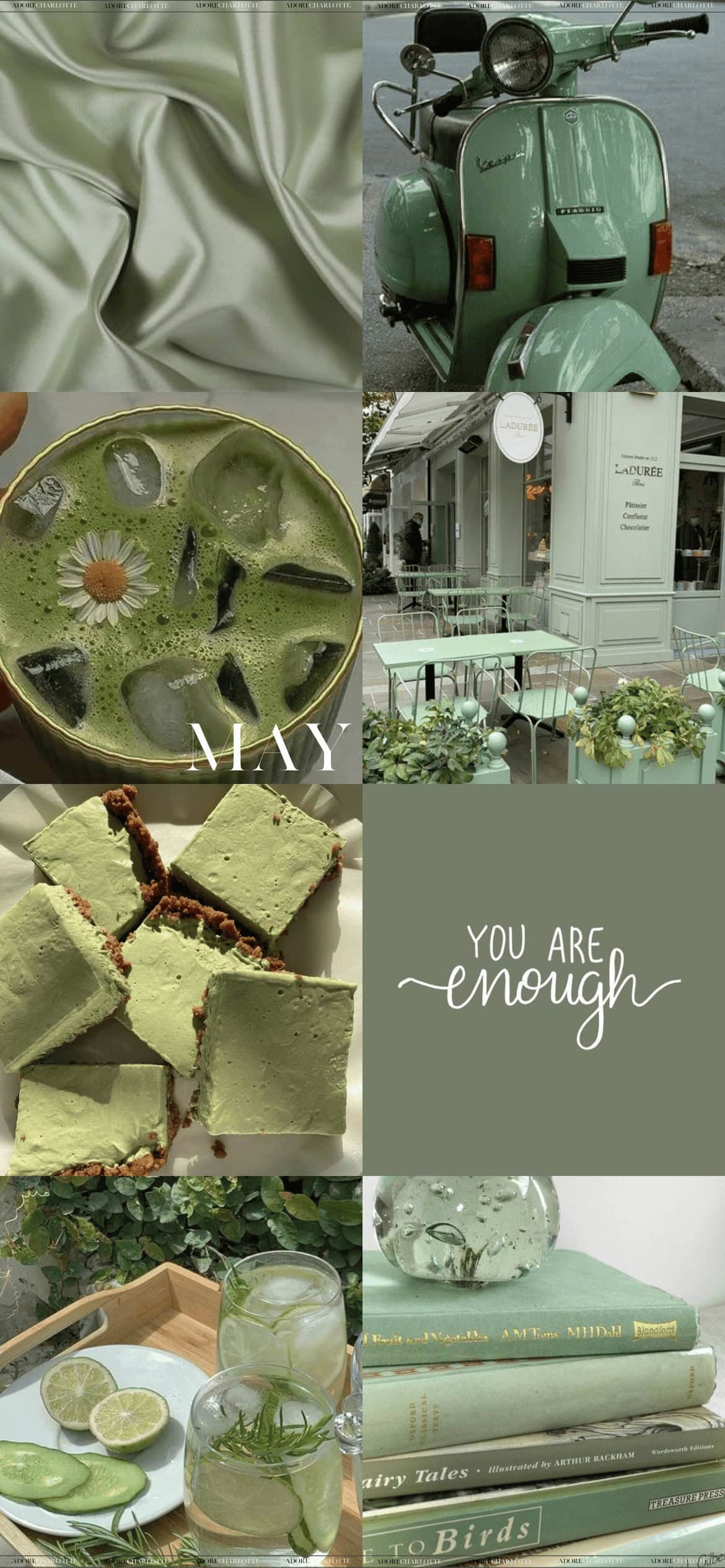 Aesthetic Sage Green Winter May 2024 Phone Wallpaper