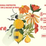 Festival Culmea 2025 – Film și Educație de Mediu #3