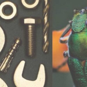 Biodiversität stärken: Branchencheck als Wegweiser für Bau- und Heimwerkermärkte