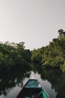 Senegal Africa, one of the best countries to visit in africa