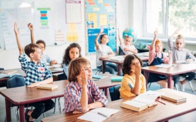 English – from primary school to the next round