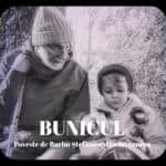 Bunicul. Poveste de Barbu Ştefănescu Delavrancea Bunicul. Poveste de Barbu Stefanescu Delavrancea gokid