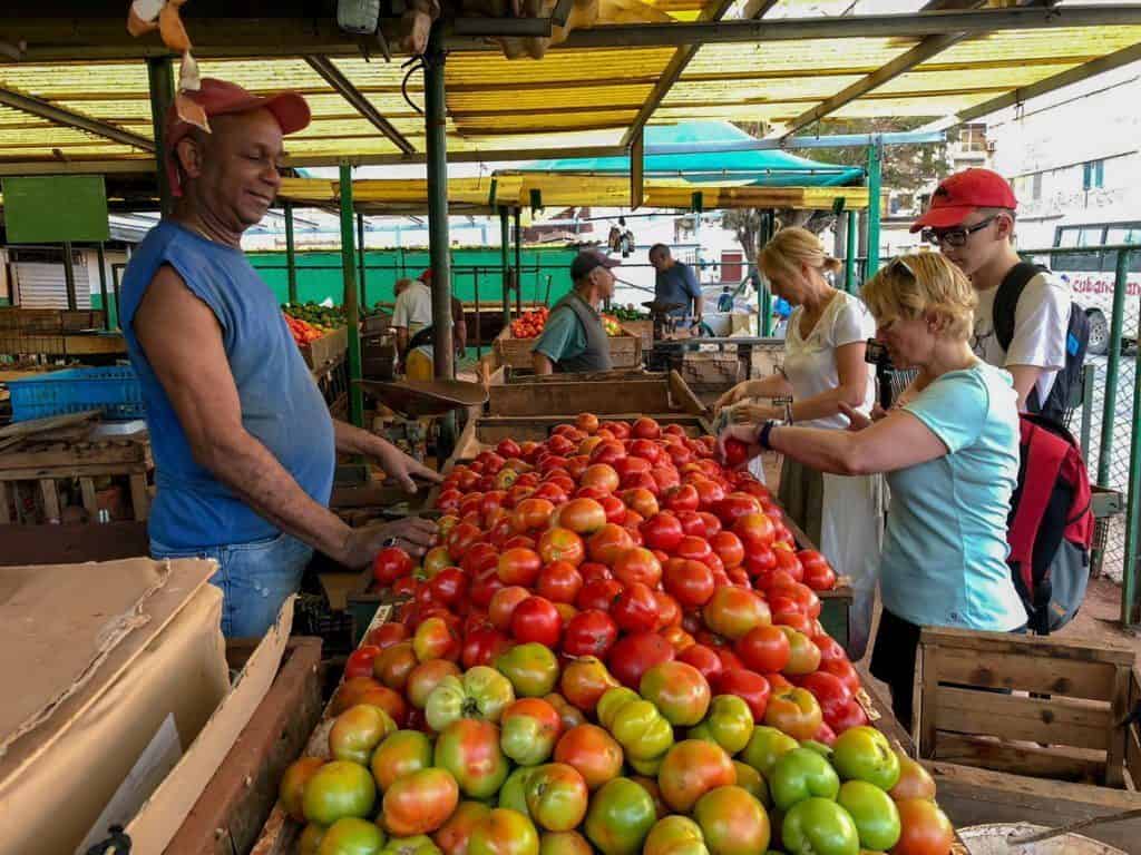 kuba na własną rękę