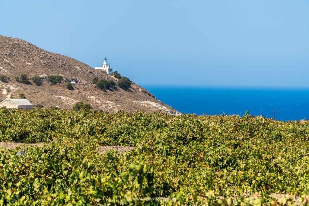 greckie wina santorini