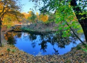 parcul sticlariei sector 2 Bucuresti 1 parcul sticlariei sector 2 Bucuresti 1