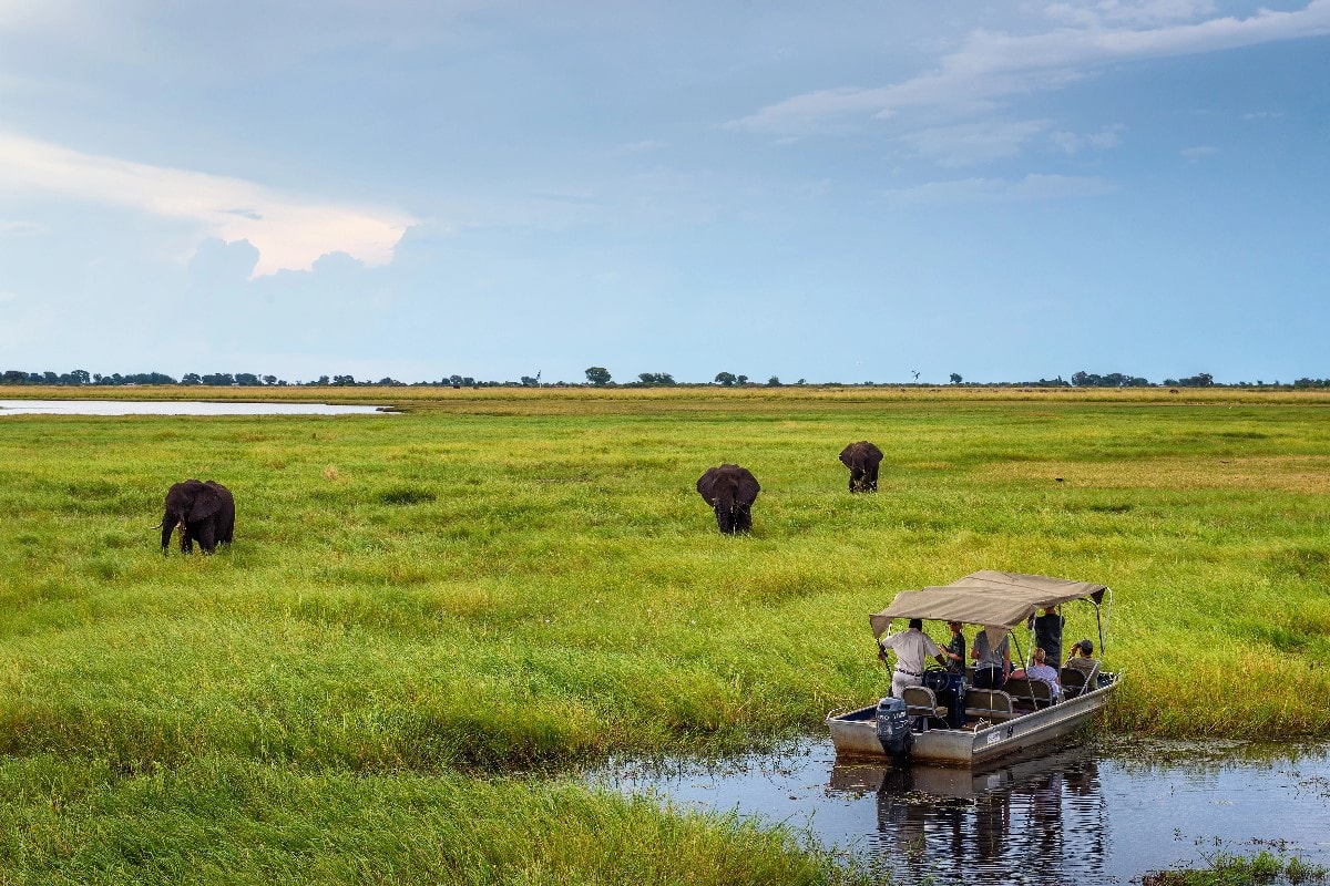 african safari