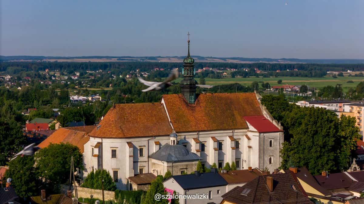 pińczów