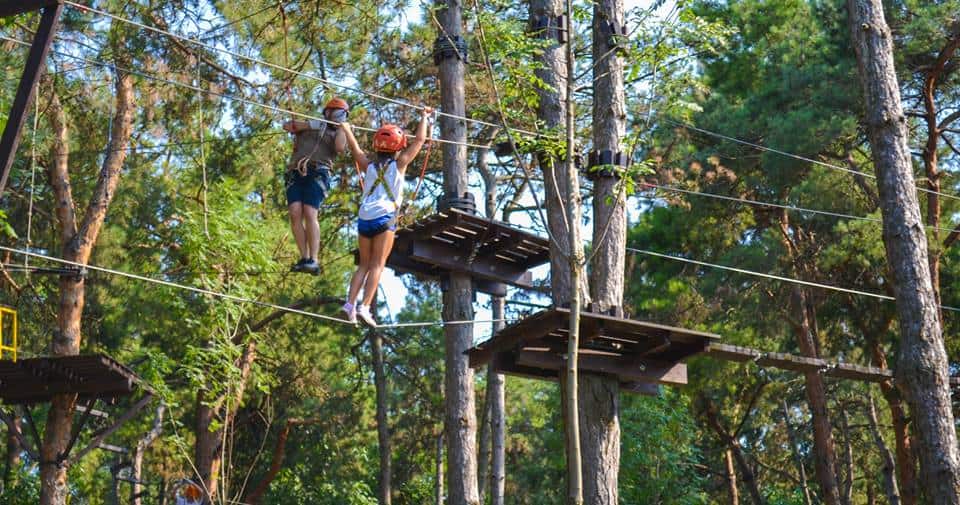 parc aventura comana trasee copaci