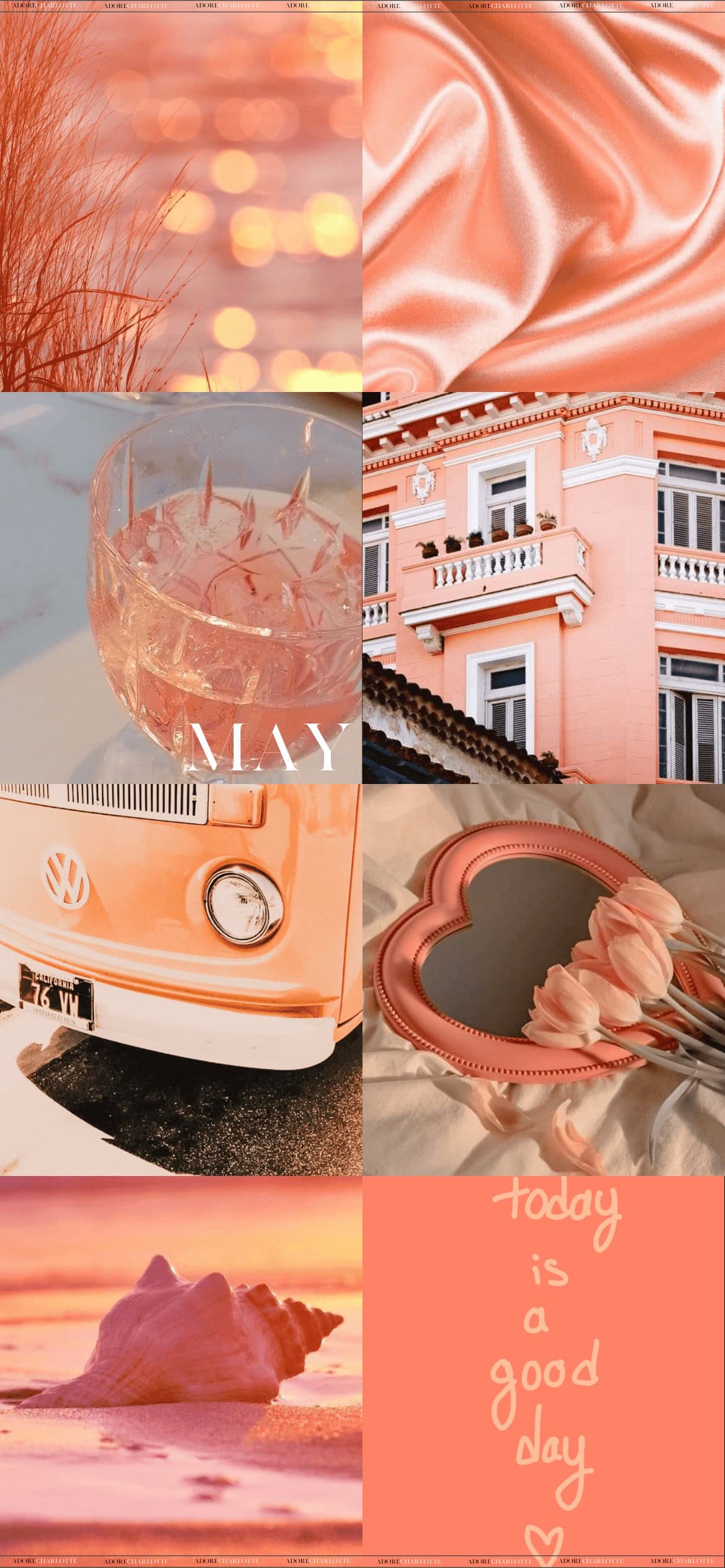 Aesthetic Coral May 2024 Phone Wallpaper