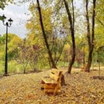 parcul sticlariei sector 2 Bucuresti alei lac parcul sticlariei sector 2 Bucuresti alei lac