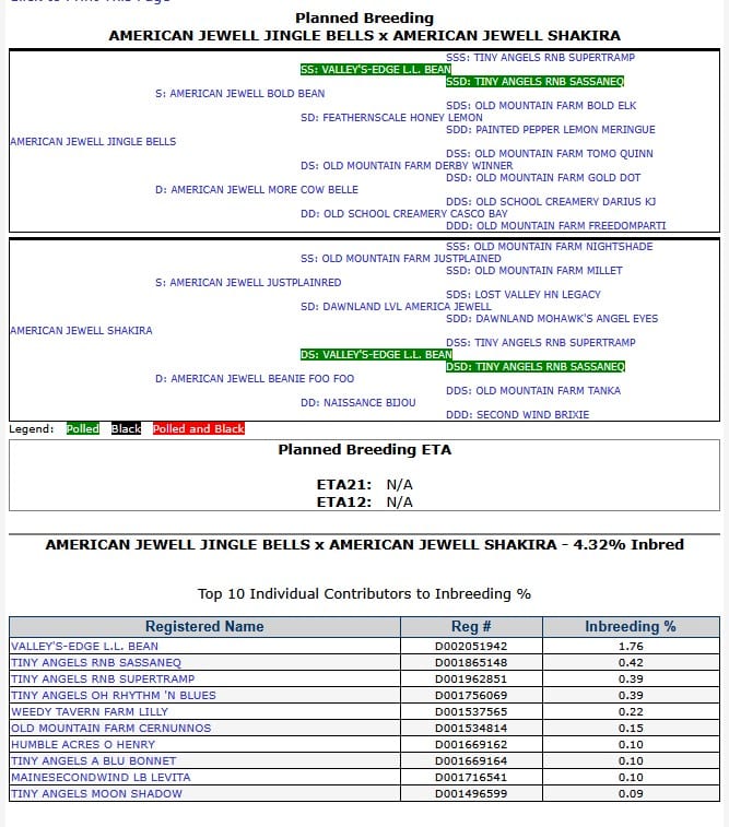 Planned Breeding
American Jewell Jingle Bells x American Jewell Shakira Pedigree of American Jewell Jingle Bells, Sire: American Jewell Bold Bean,
Dam: American Jewell More Cow Belle
Pedigree of American Jewell Shakira Sire American Jewel JustPlainRed Dam American Jewell Beanie Foo Foo
4.32% Inbred Top 3 contributors: Valley's Edge L.L. Bean, Tiny Angels RNB Sassenaq, Tiny Angels RNB SuperTramp