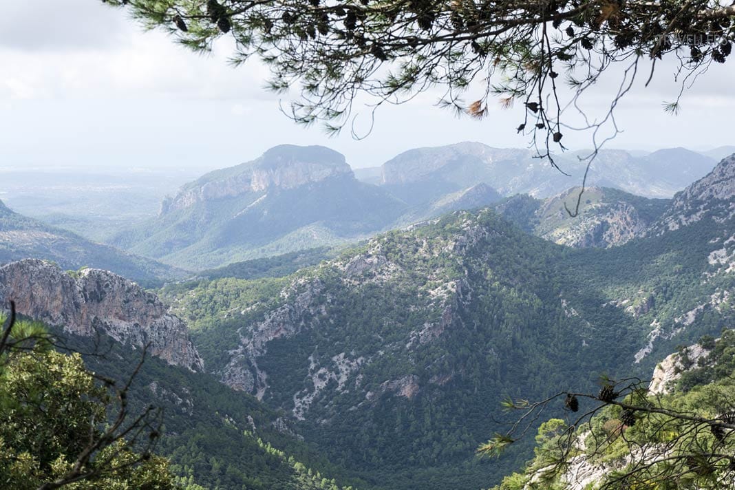 Der Blick auf die zwei Tafelberge Puig de s’Alcadena und Puig d’Alaró auf Mallorca