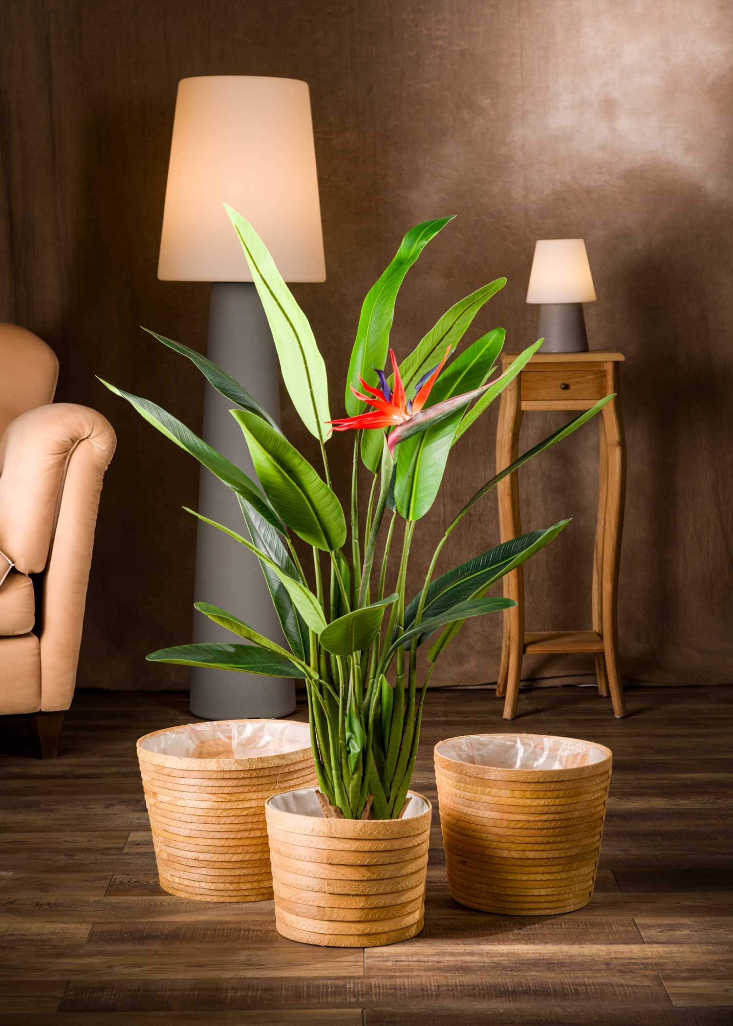 pianta-sterlizia-artificiale-media-frontale